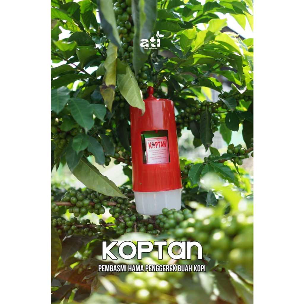 Pengendali Hama Buah Kopi KOPTAN