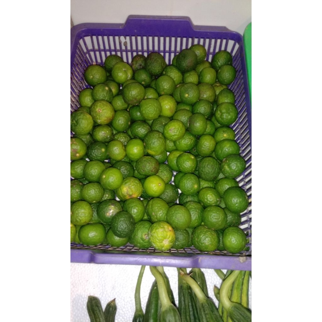 

jeruk limo500gr