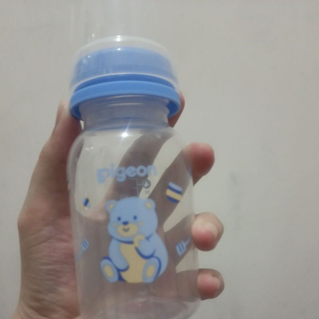 preloved dot bayi pigeon
