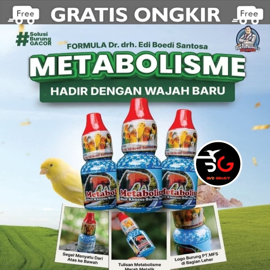 METABOLISME DR EDI BOEDI SANTOSA ORIGINAL