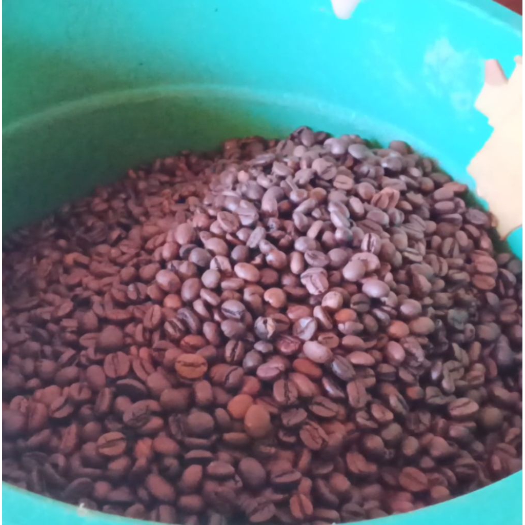 

Ketakasi Roast Bean Kopi Robusta Premium Grade 1 Supplier Cafe (1 kg)