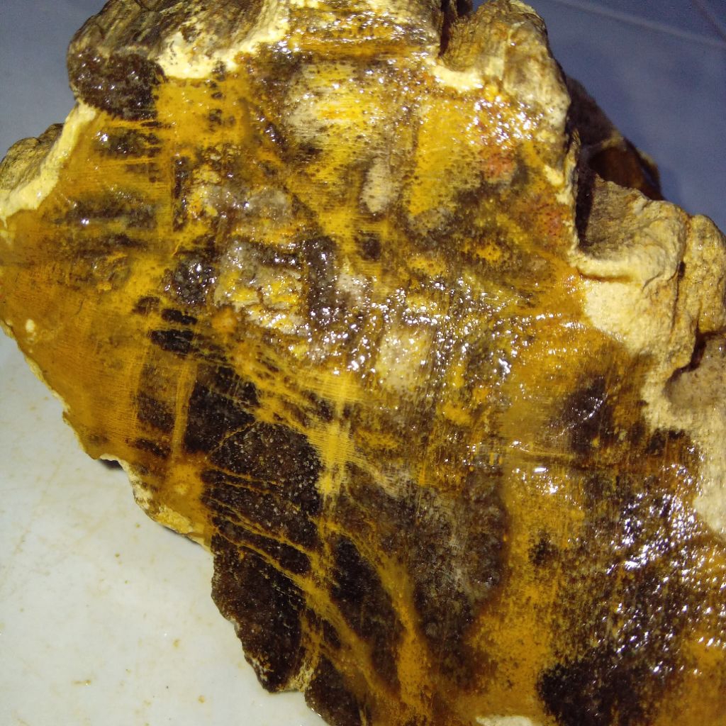 Natural Batu Motif Bulu Macan Sumatera Top Quality