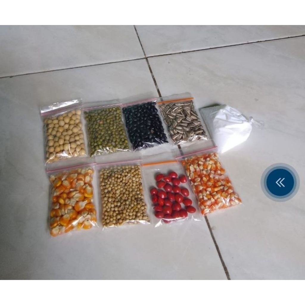 8macam biji bijian untuk kolase + lem