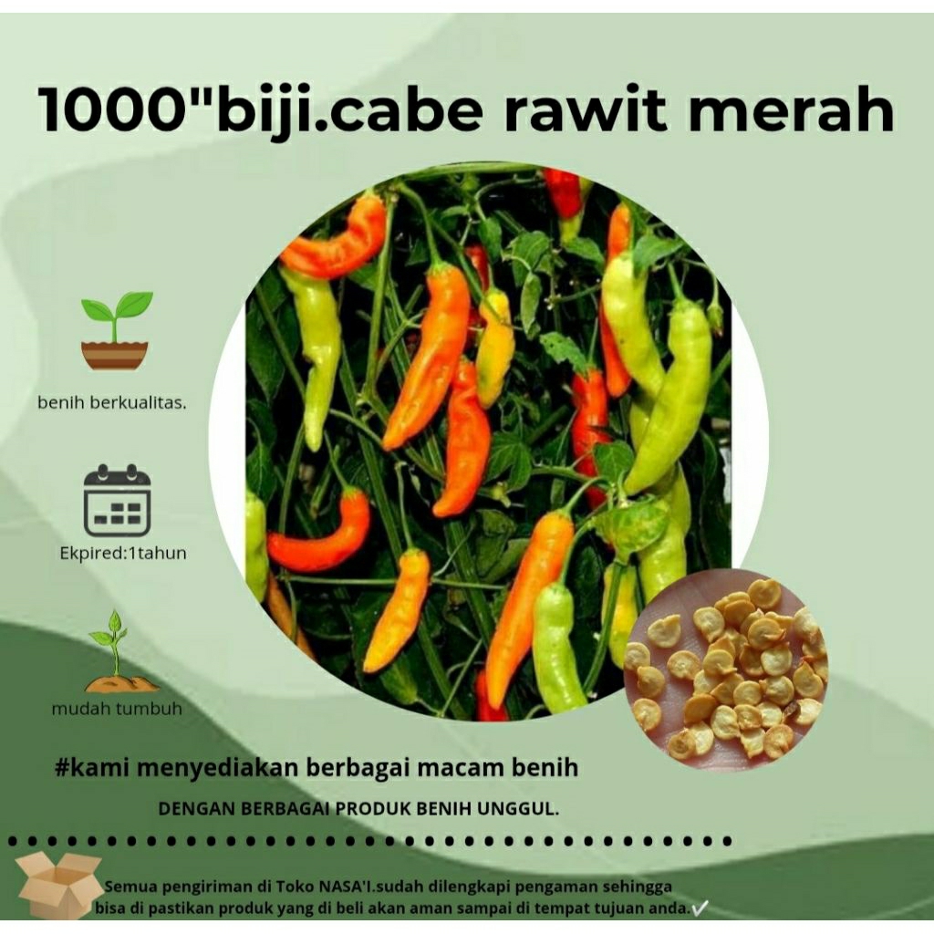 

1000>:biji cabe rawit merah.