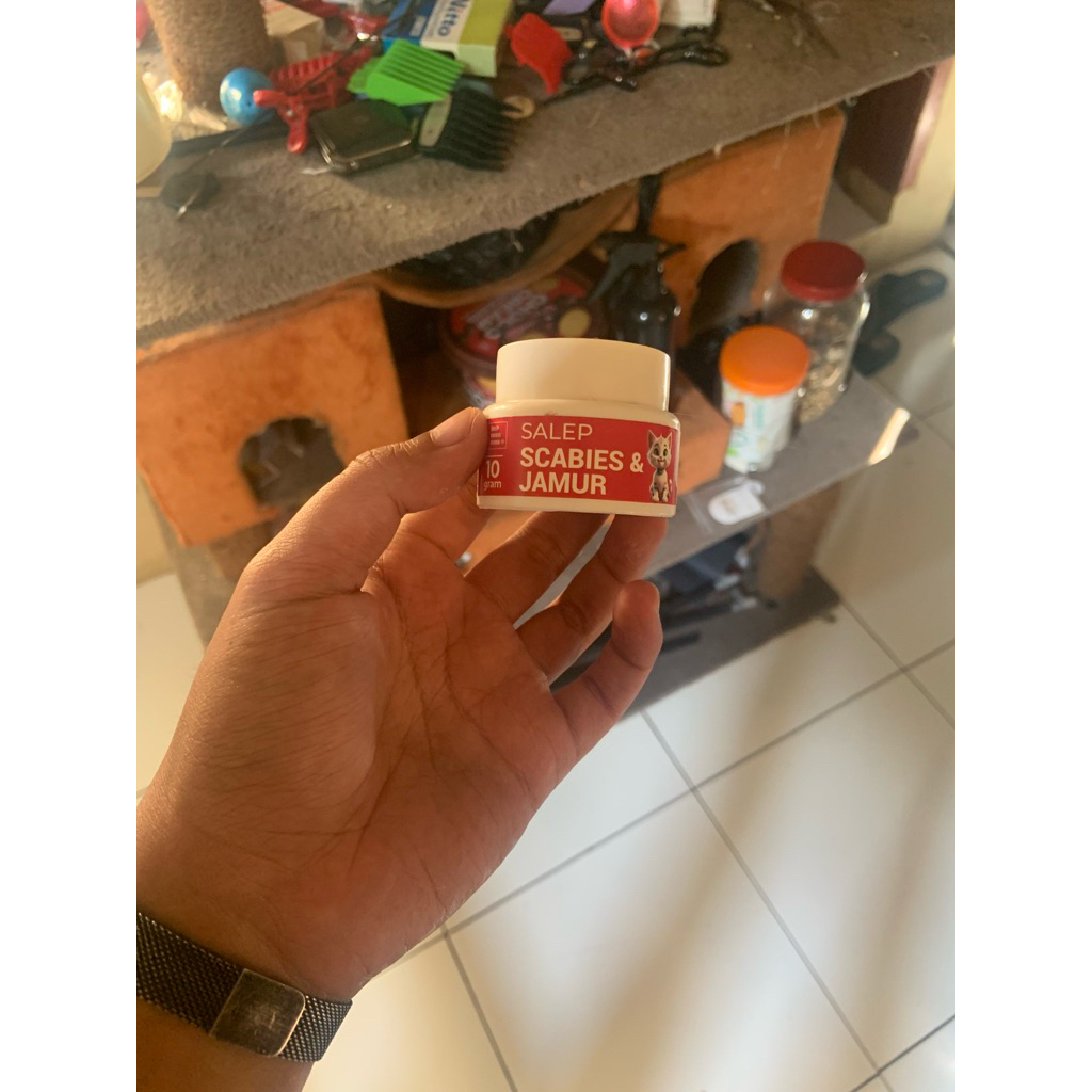 salep scabies kucing