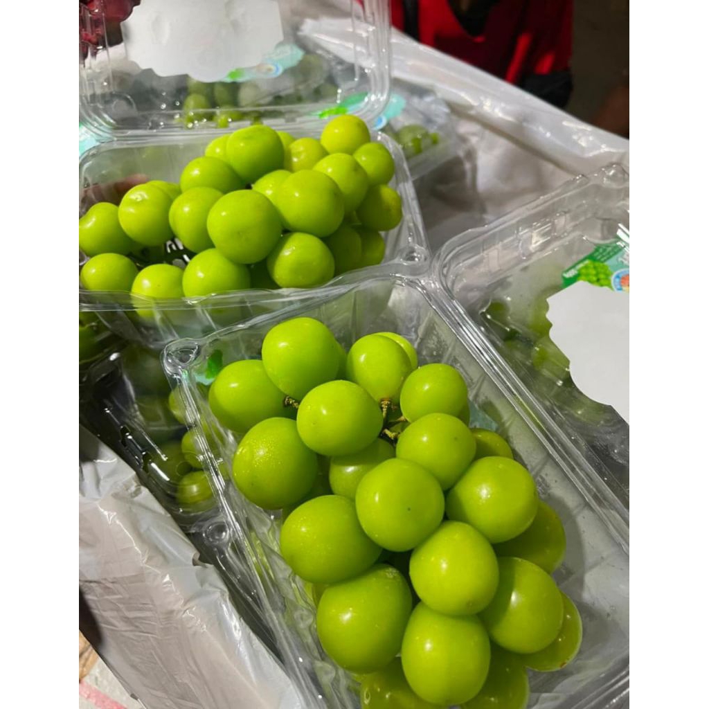 

Buah anggur muscot netto per pack 500gr