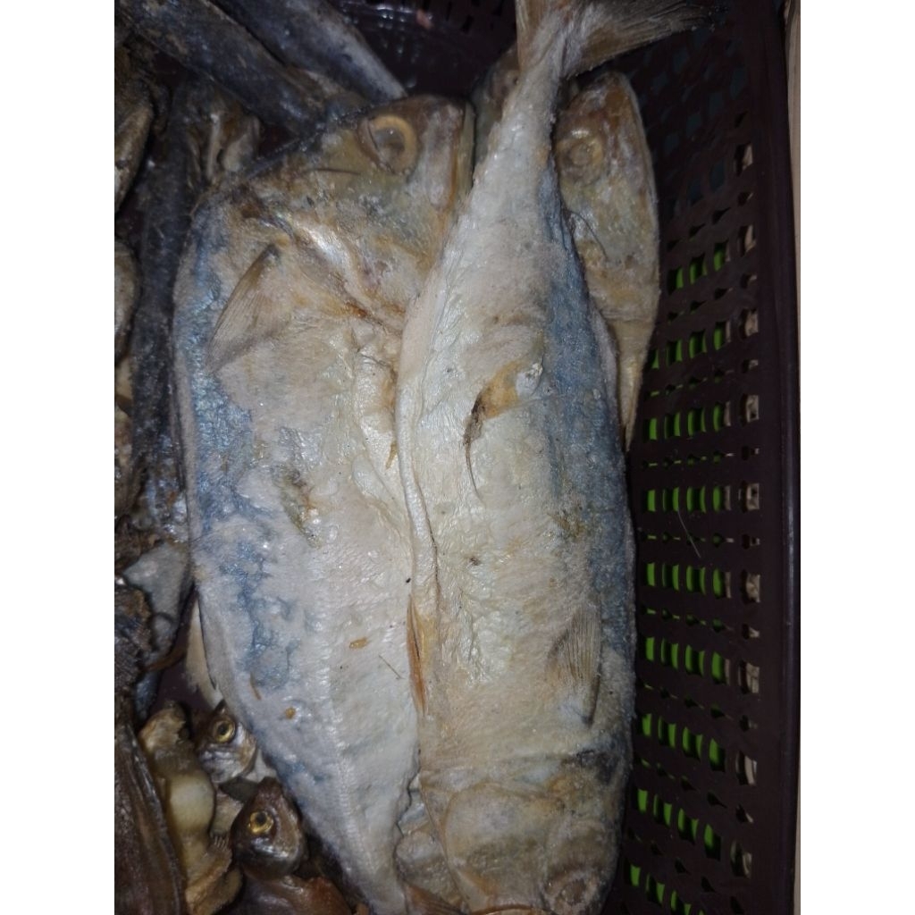 Ikan Asin Peda 1 kg
