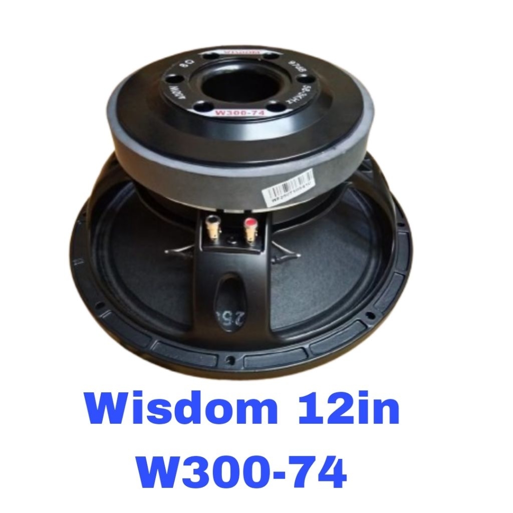 Speaker 12in Wisdom W300 74.Wisdom W300-74