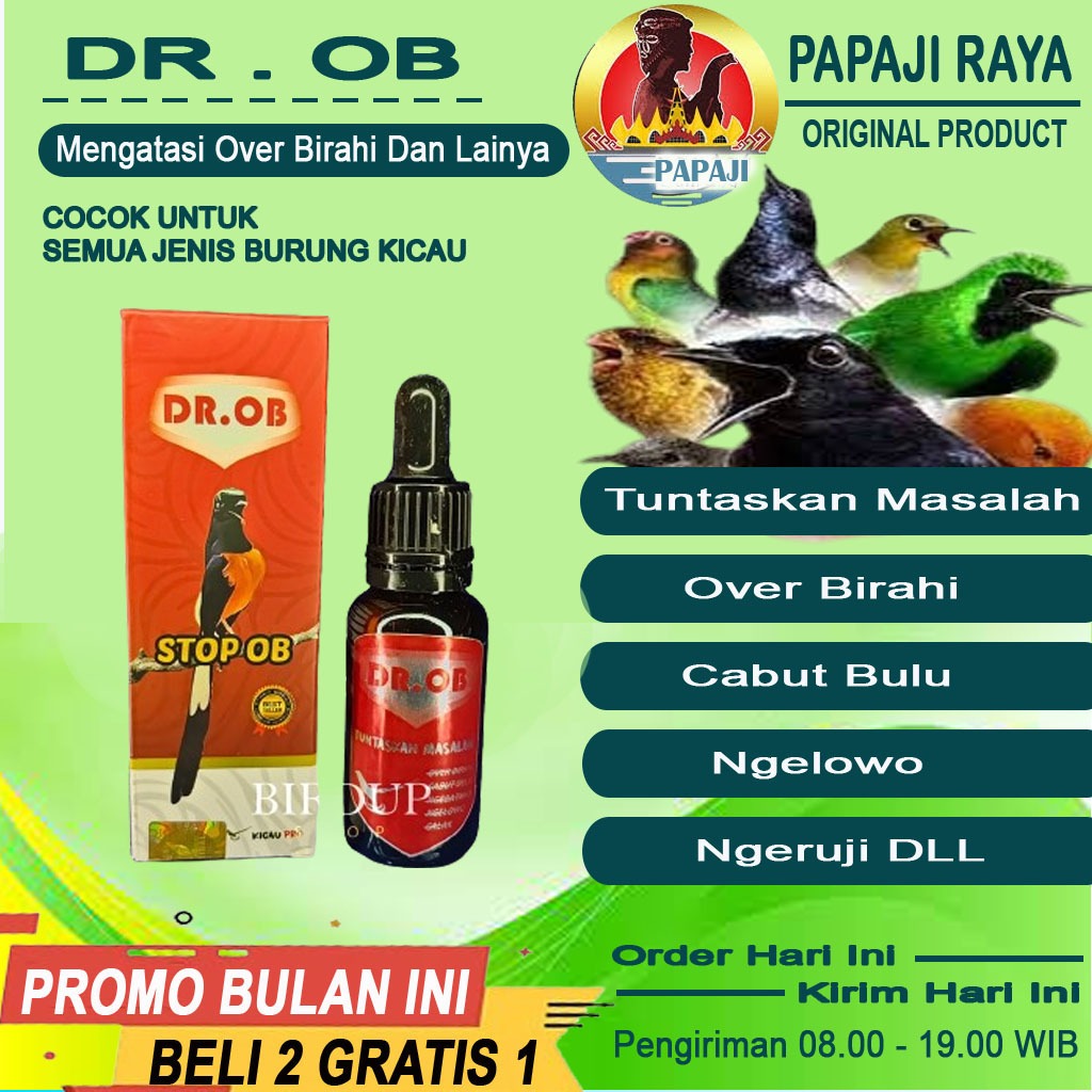 DR.OB Vitamin Burung Murai Batu Mengatasi OB Over Birahi Ngelowo Ciak Bulu Ngeruji Penurun Emosi