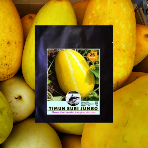 Benih/Biji Timun Suri Jumbo Benih Sayur Buah Kualitas TOP Tinggi