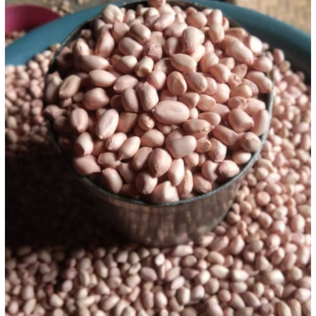 

Kacang Tanah Mentah/Kacang Tanah ose SUPER 250g 500g 1kg