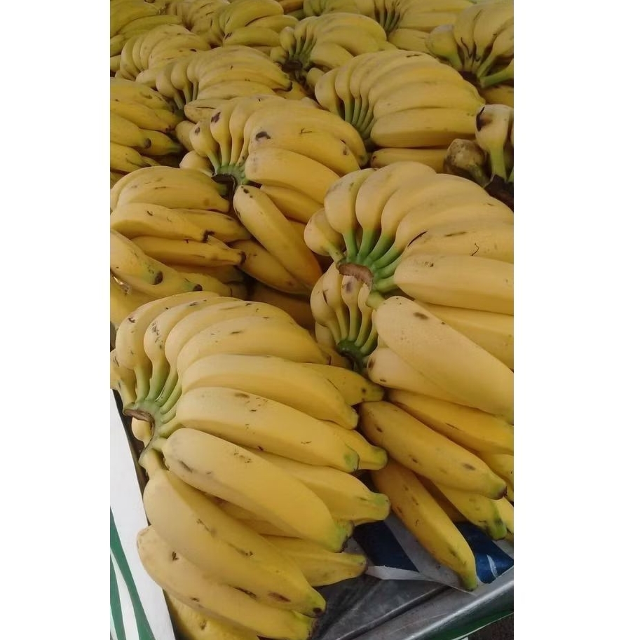 

Pisang Cavendish - 1kg