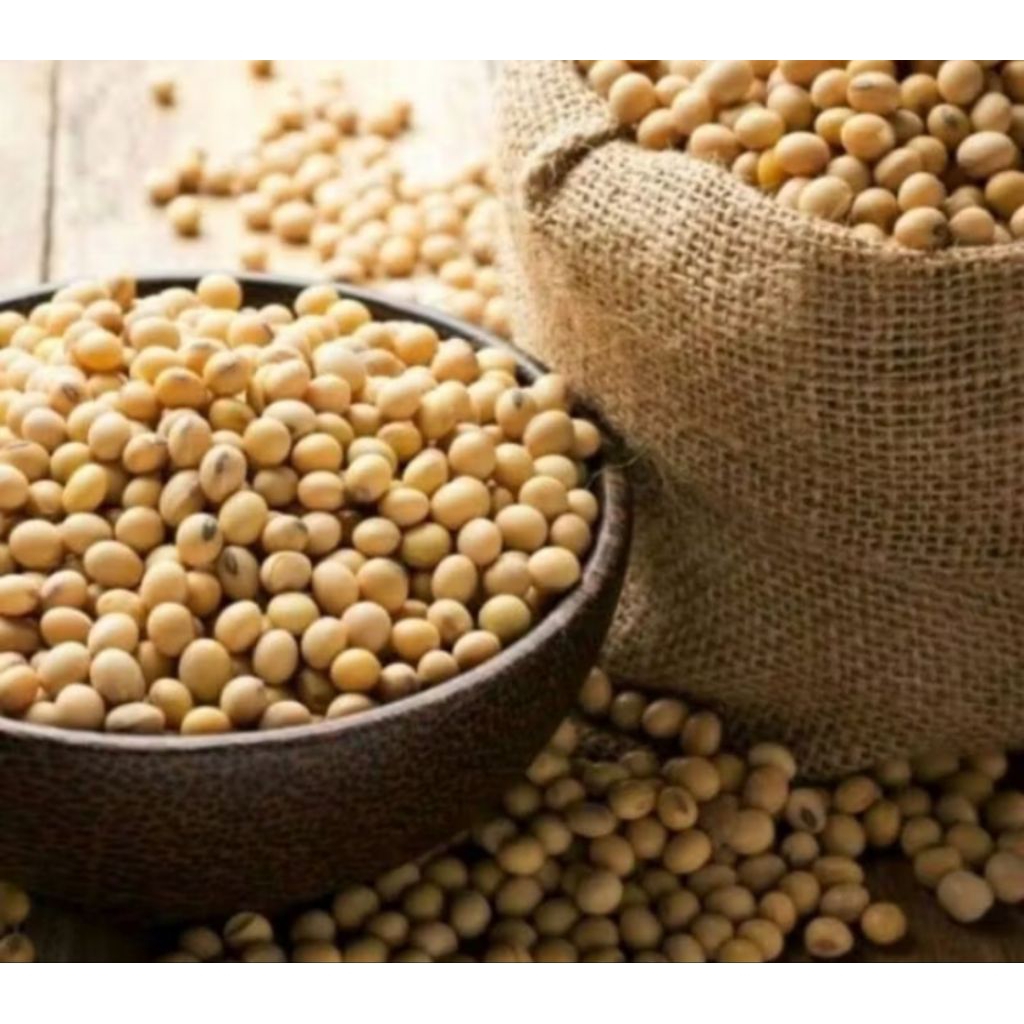 

KEDELAI IMPORT USA KWALITAS TERJAMIN ASLI 100%