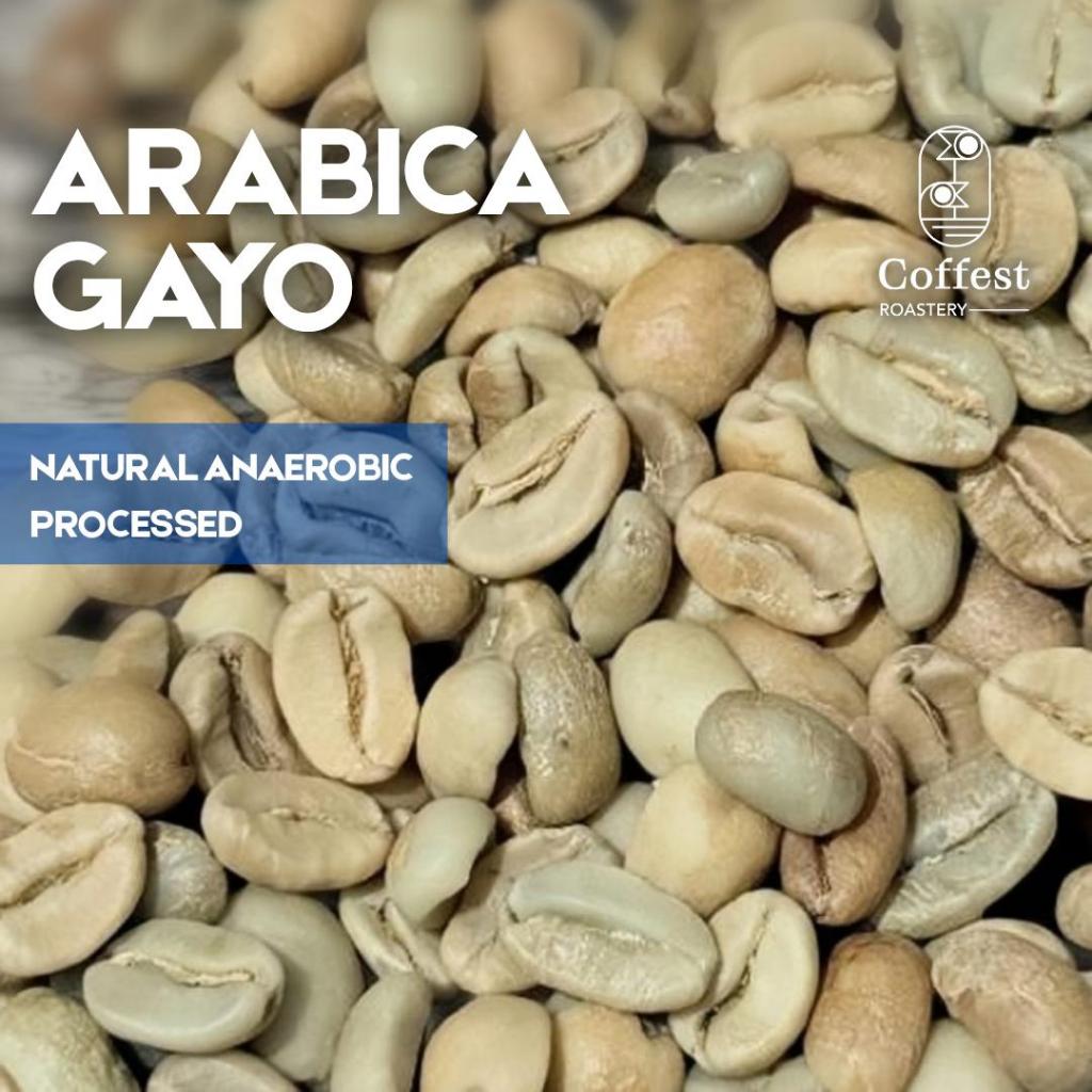 

Green Bean Arabika Gayo - Specialty Grade - Natural Anaerobic Processed