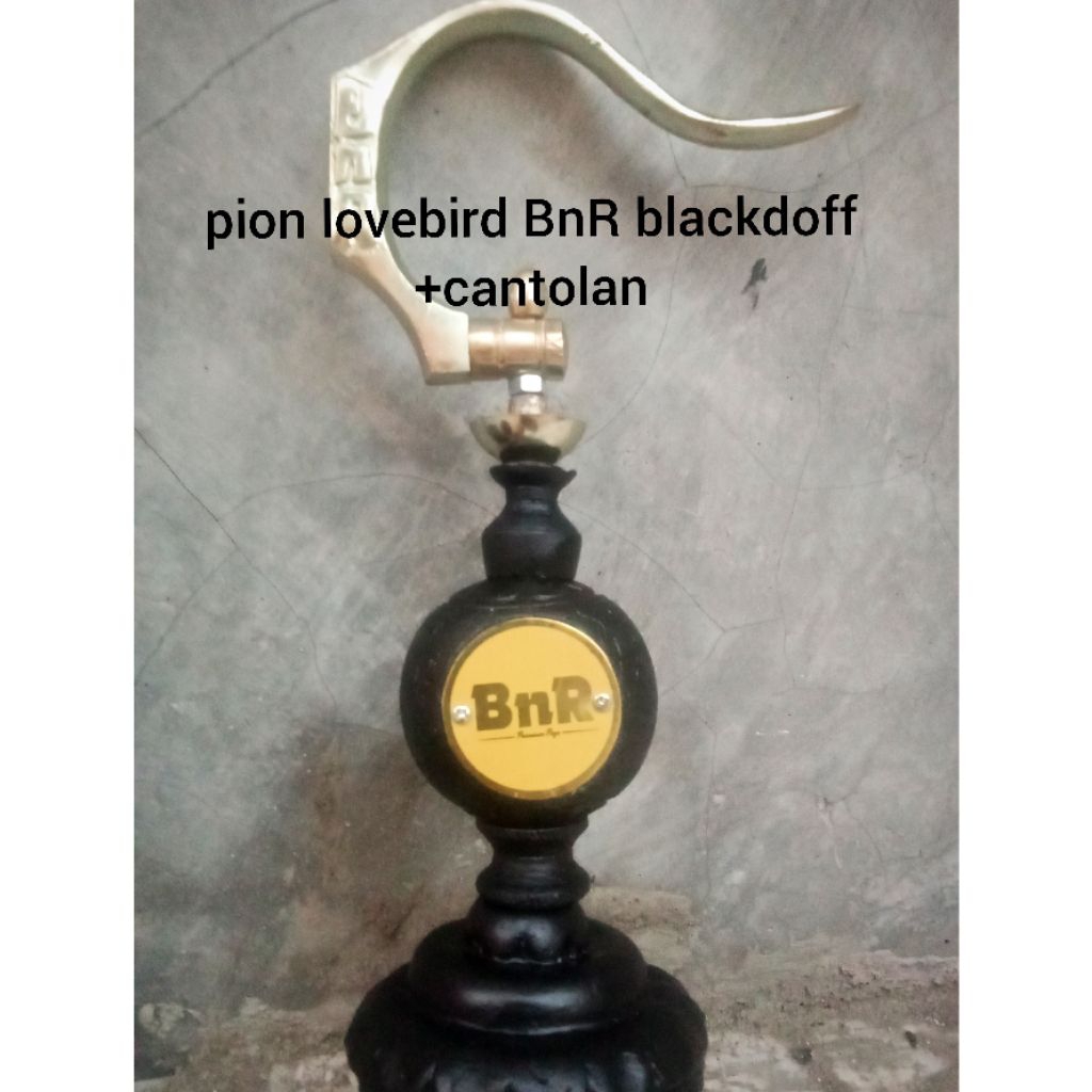 pion lovebird BnR blackdoff+gantungan
