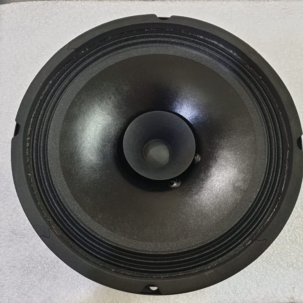 speaker ACR 8 inch ACR 810dfh full range