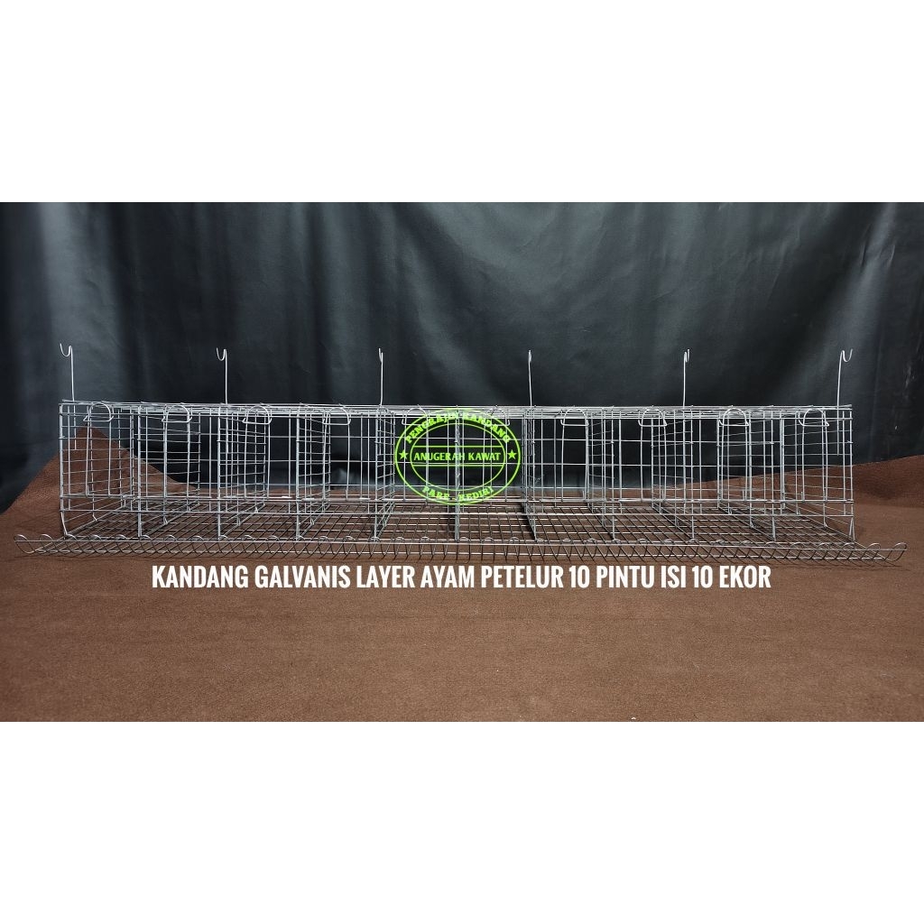 KANDANG GALVANIS 10 PINTU LAYER AYAM PETELUR ISI 10 EKOR