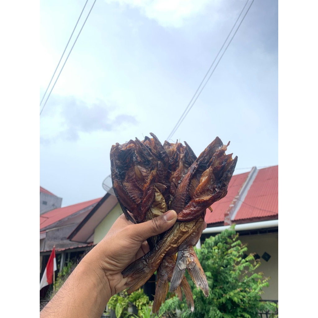 

ikan asap patain payakumbuh