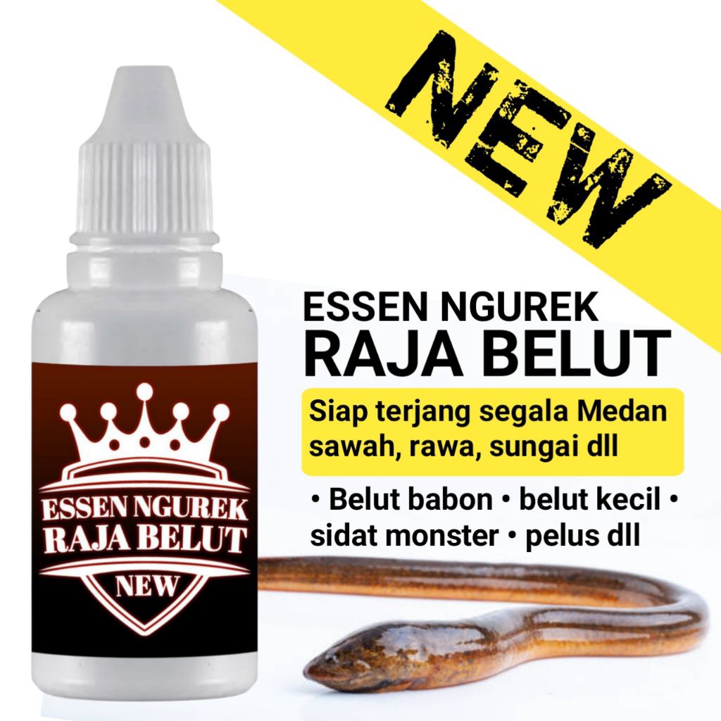 Pakan ngurek belut anti boncos