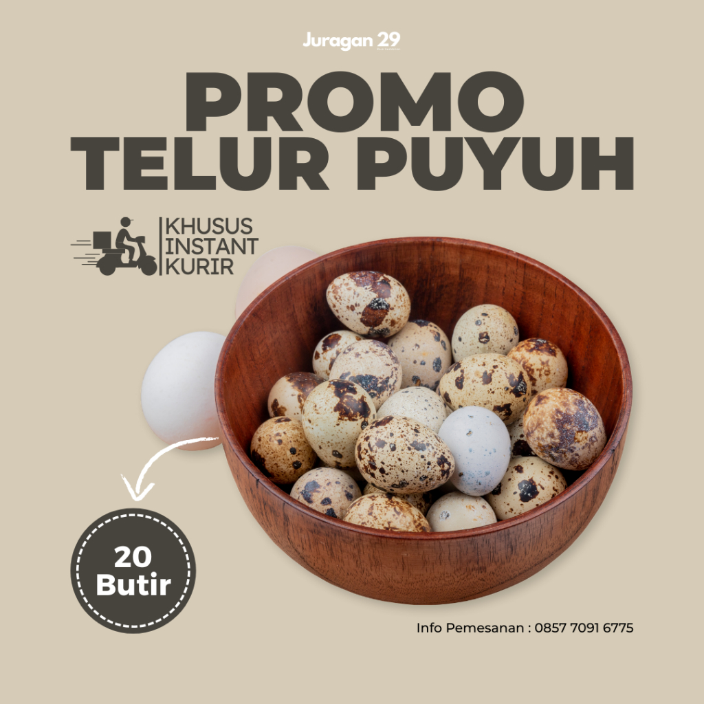 

Telur Puyuh 20pcs Fresh Box Dari Peternakan Segar INSTANT KURIR dan SAMEDAY