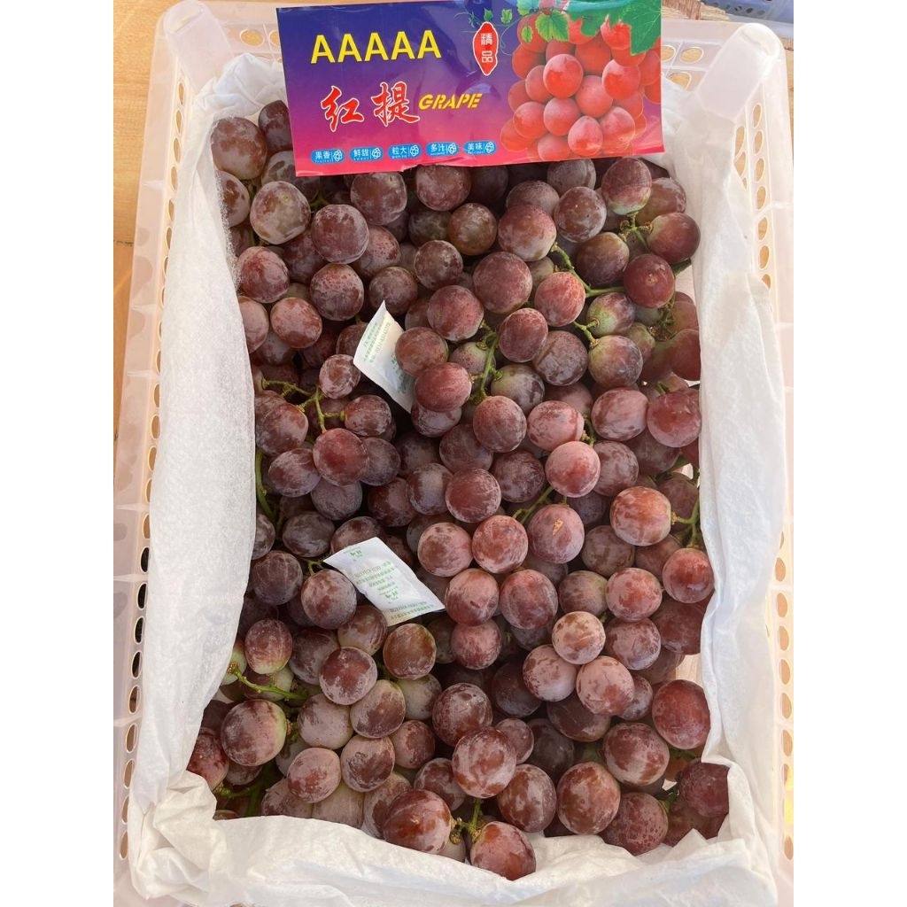 

Anggur red globe manis kemasan pack