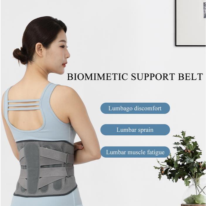 Lumbar Waist Support Korset HNP LBP Pengapuran Penyangga Tulang Belakang Korset Lumbar Jumbo Korset 