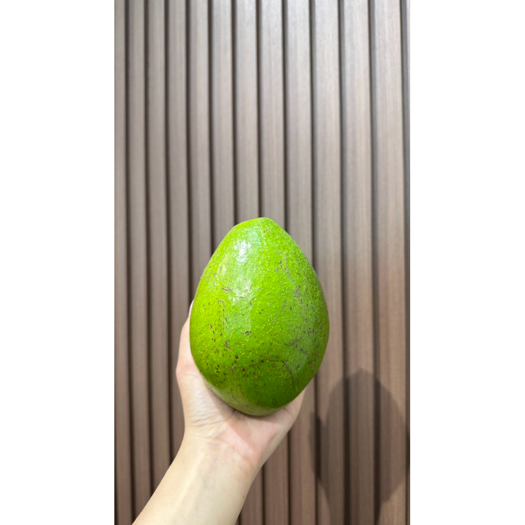 

Alpukat Lokal Jumbo (Mentah) | 1kg