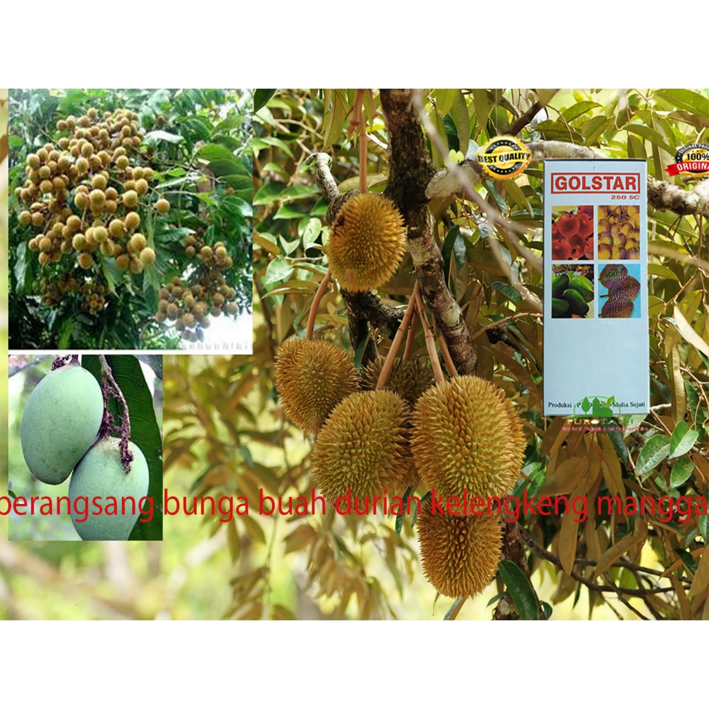 Golstar Perangsang Bunga Paclobutrazol Pupuk Buah Zpt Golstar 250SC