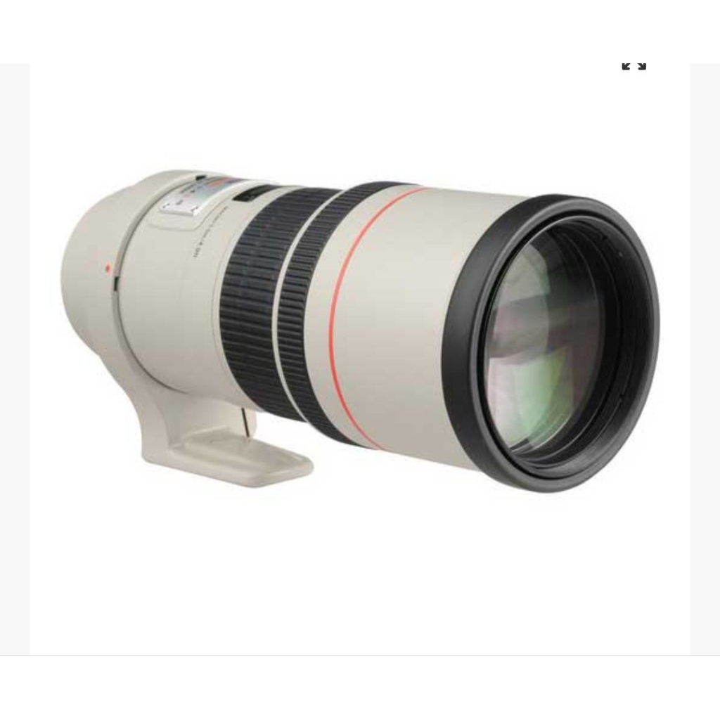 canon EF 300mm f/4L IS