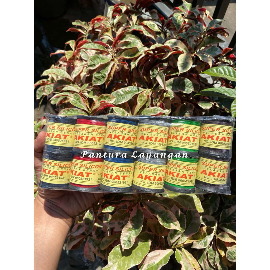 GELASAN AKIAT SNAP ORIGINAL 100 %