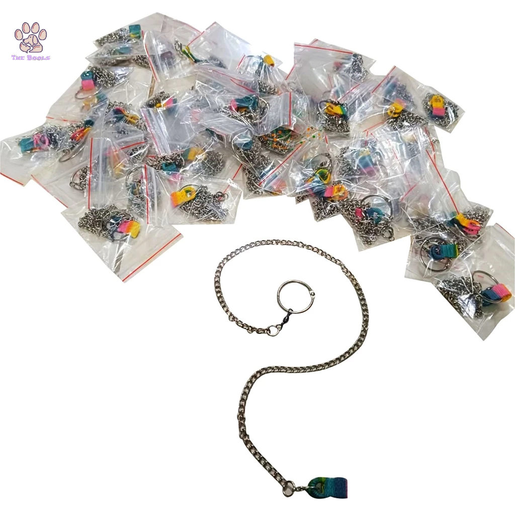 (The Bool's) Rantai Borgol Burung Nuri Falk Parkit Parrot Hantu Isi 1 Pcs Rantai Kaki Burung Latih T