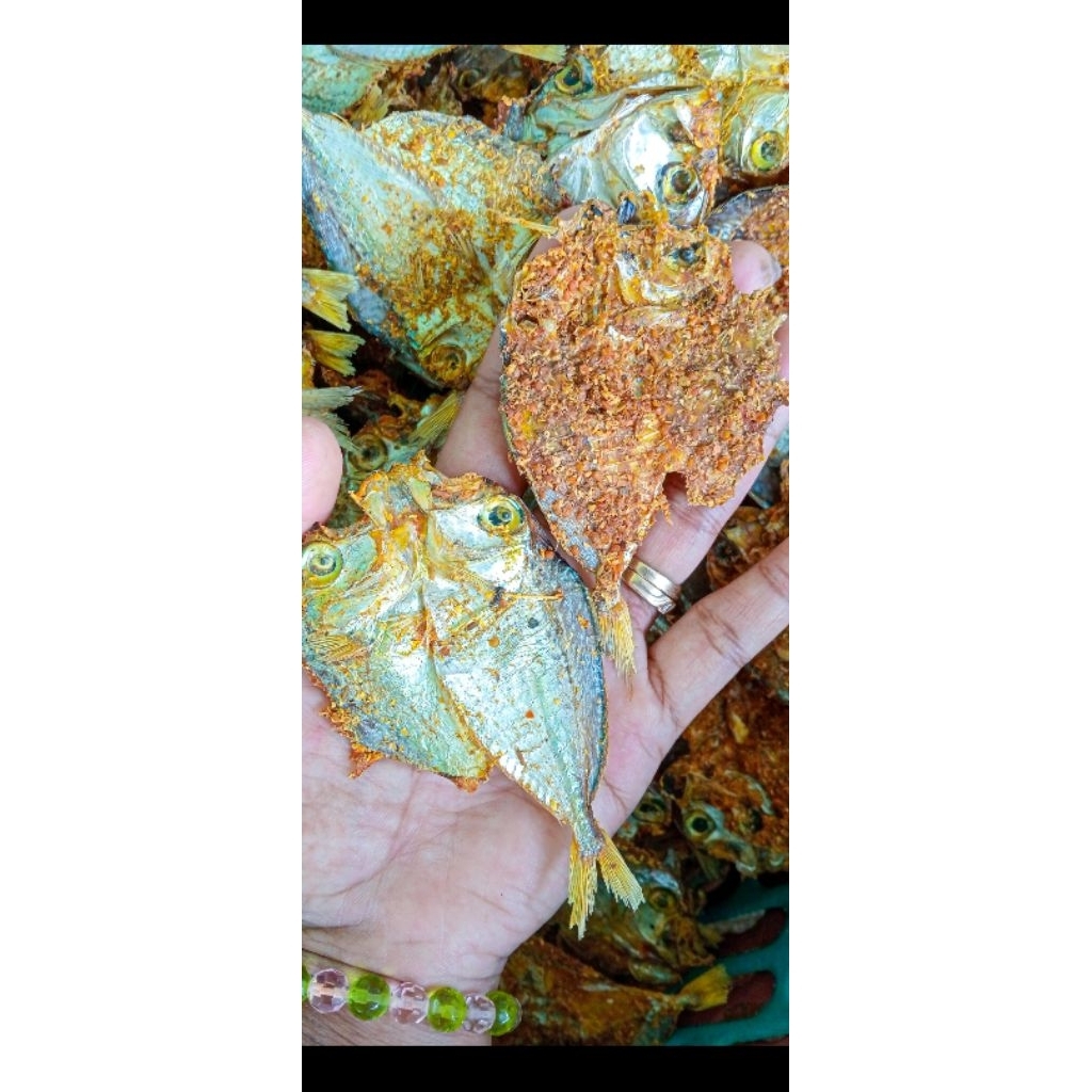 

Dendeng ikan laut dendeng Madura 1pack