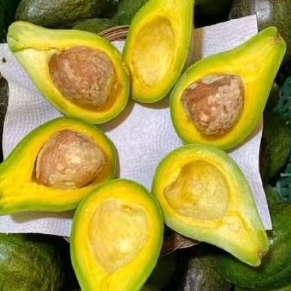

Buah alpukat mentega pulen super paket 2kg