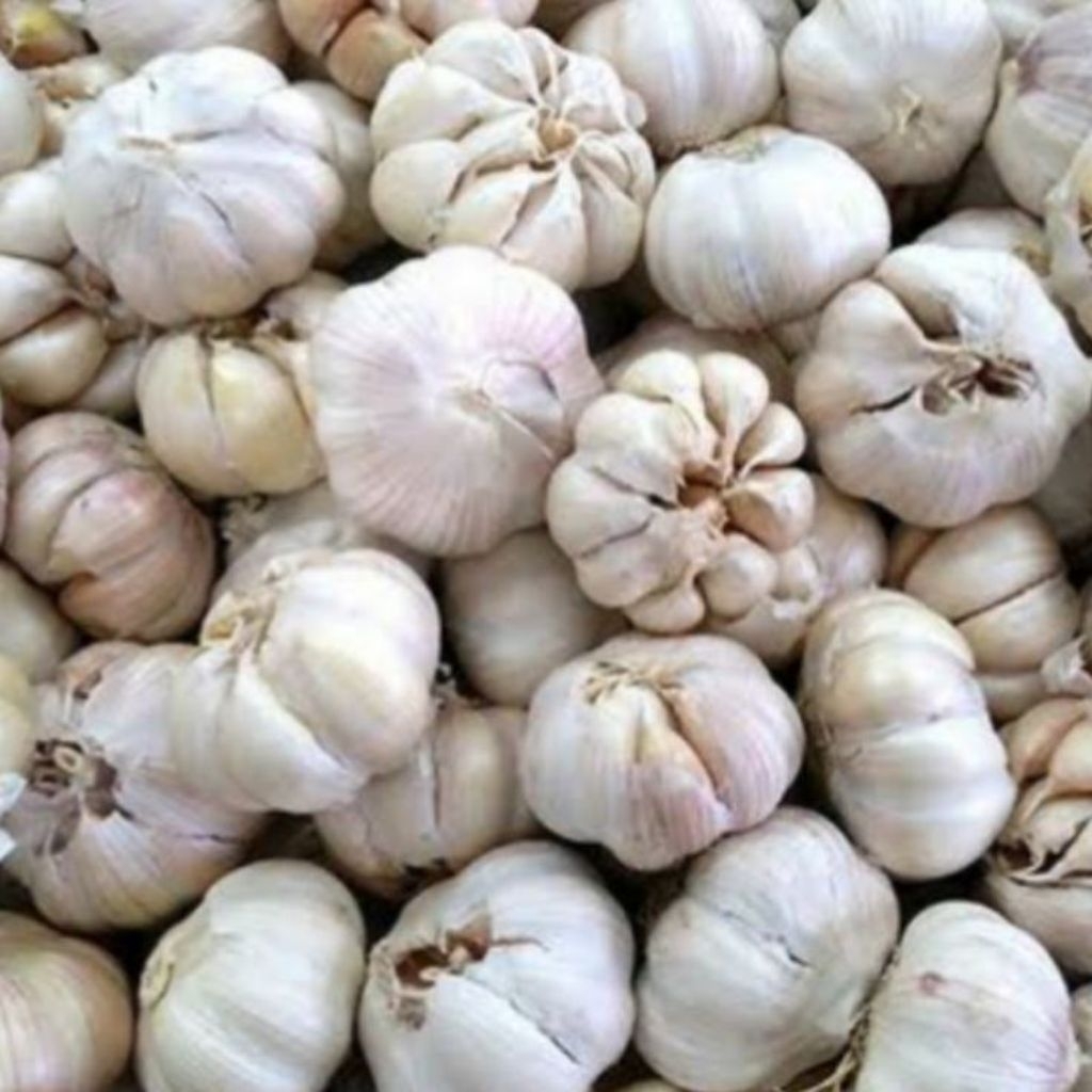 

Bawang putih segar 500 gram