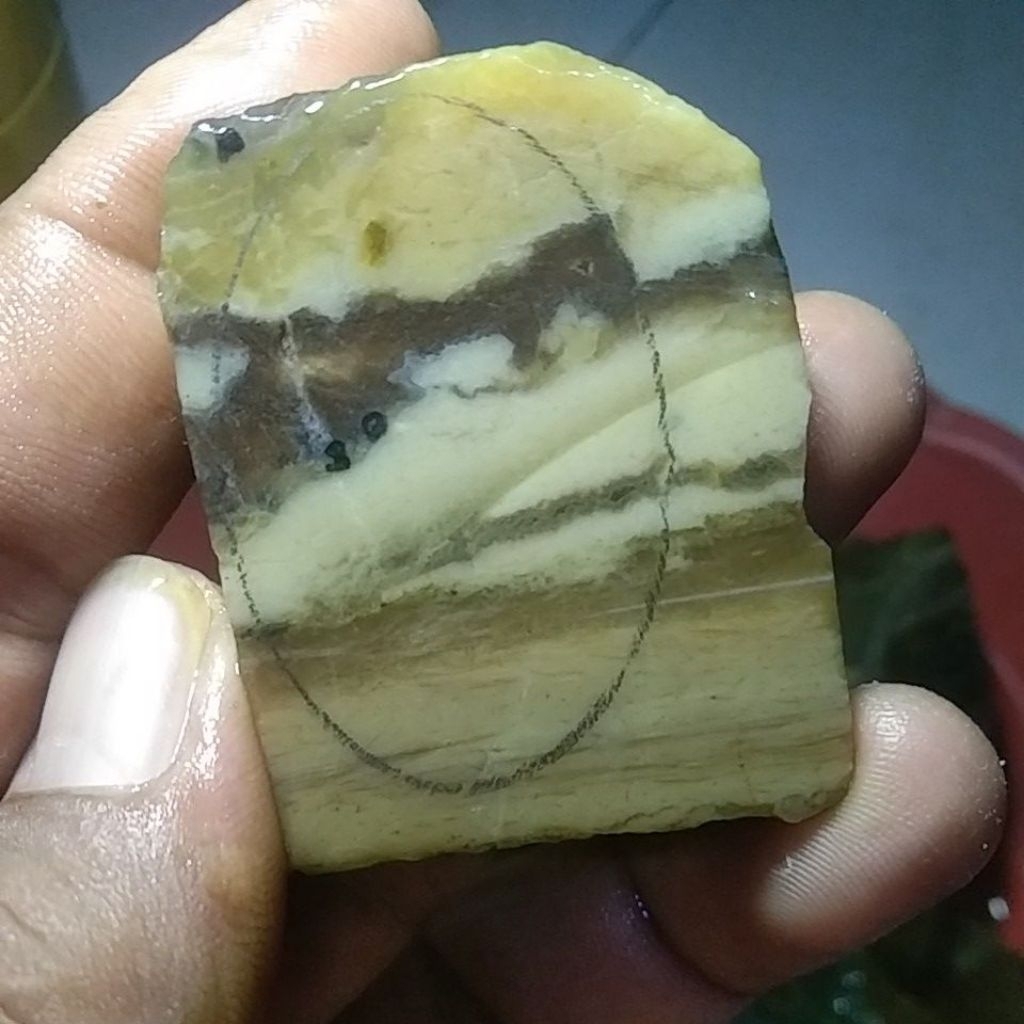 BATU GARUT FOSIL KAYU CRYSTAL