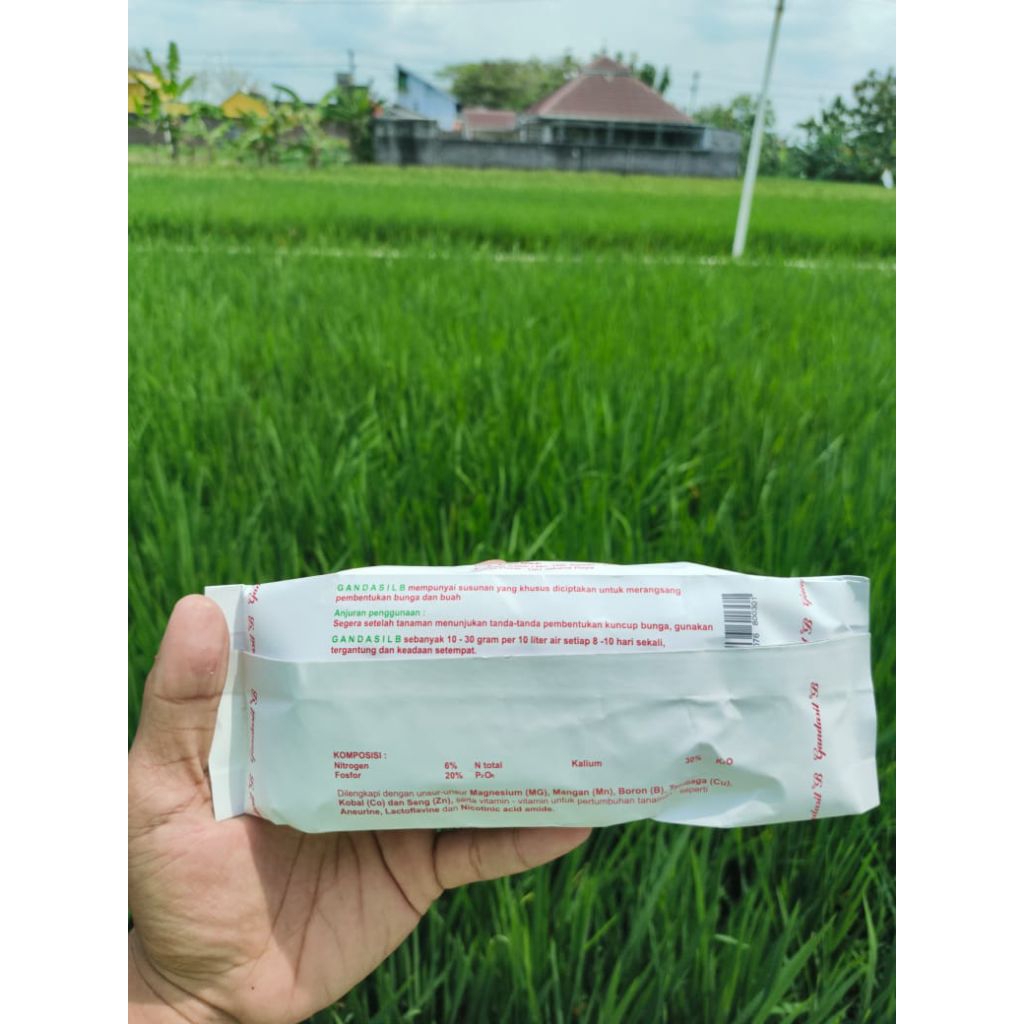pupuk gandasil B/gandasil buah/pupuk gandasil