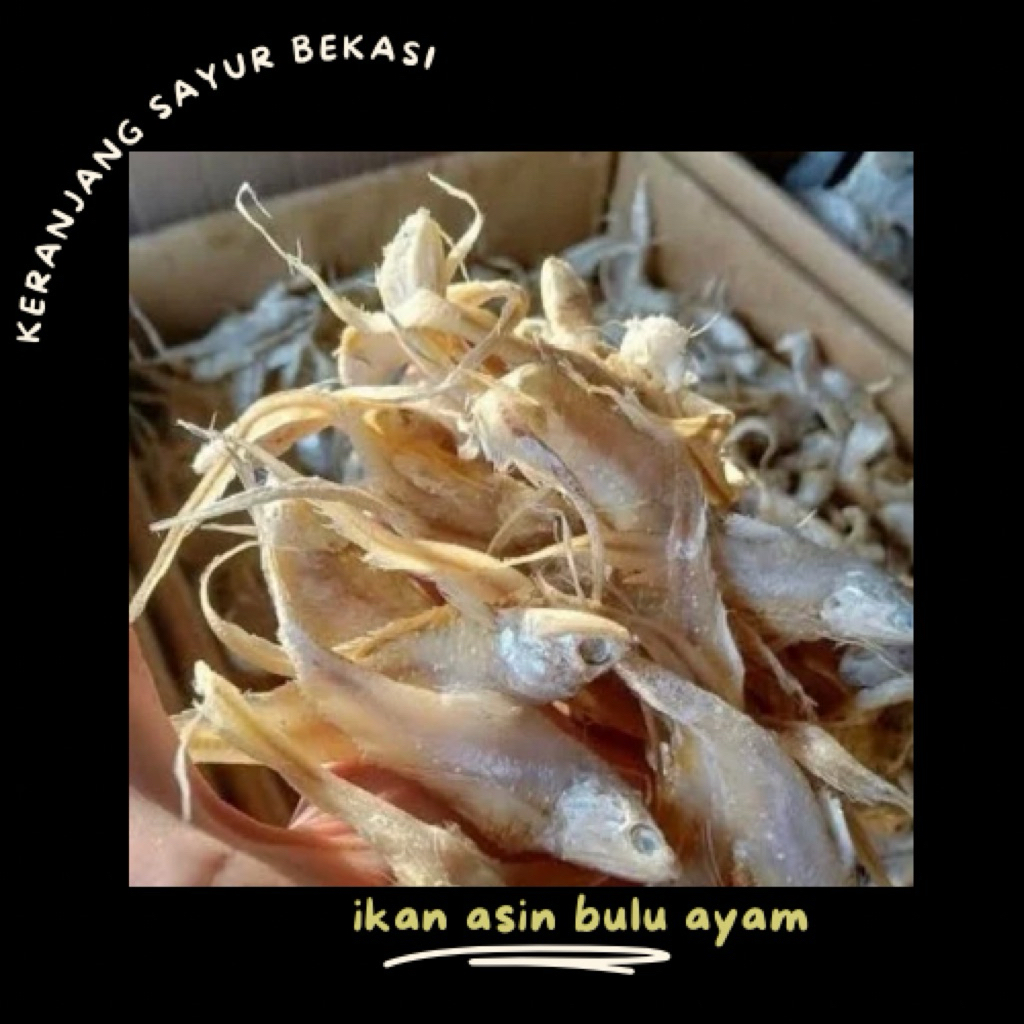 

ikan asin bulu ayam