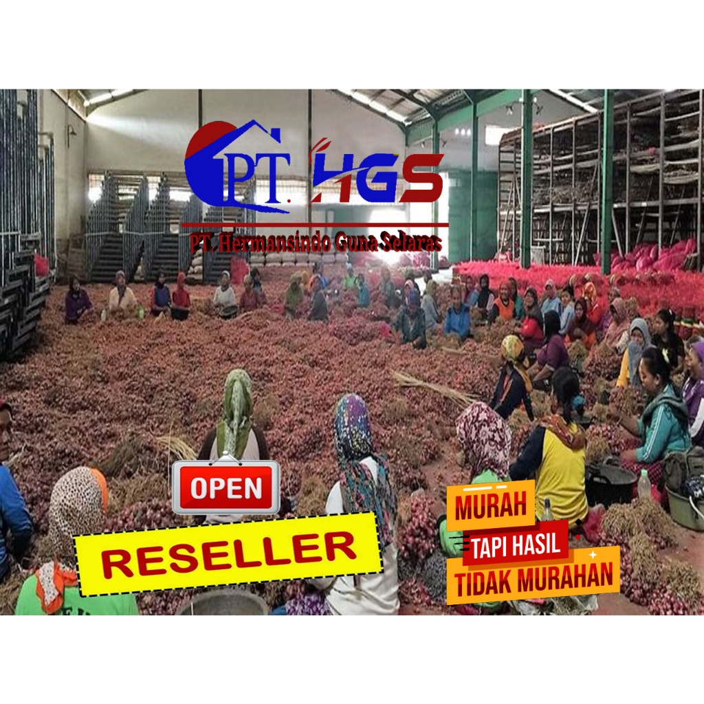 

Bawang Merah Ukuran Sedang & Besar (Harga Reseller) 500 gr