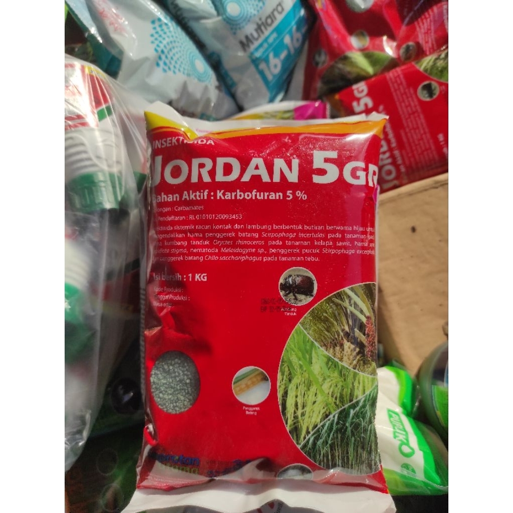 JORDAN 5 GR - 1KG