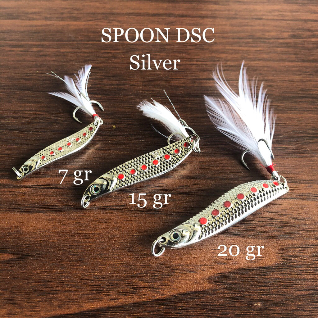 SPOON DSC SILVER
