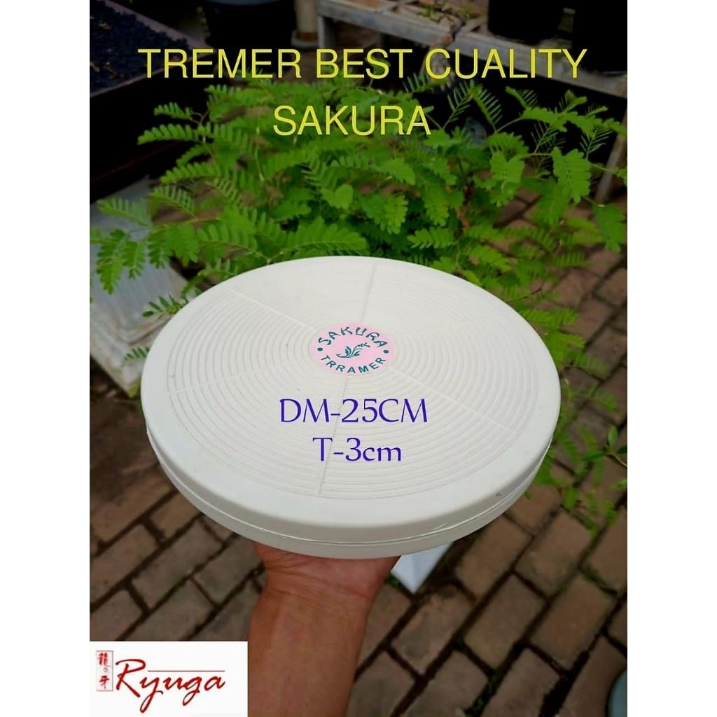 trimer bonsai sakura putih 25cm