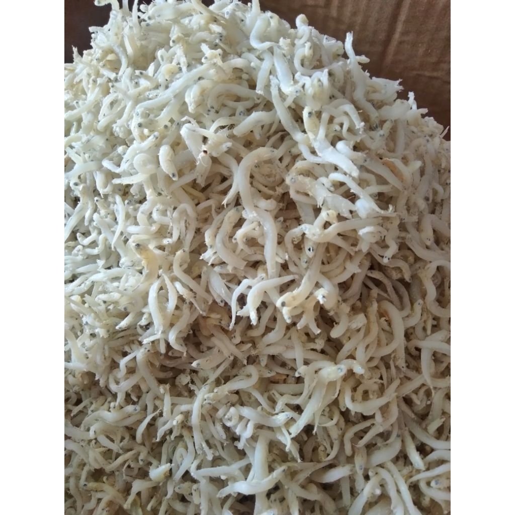 

teri nasi Medan 100 gr