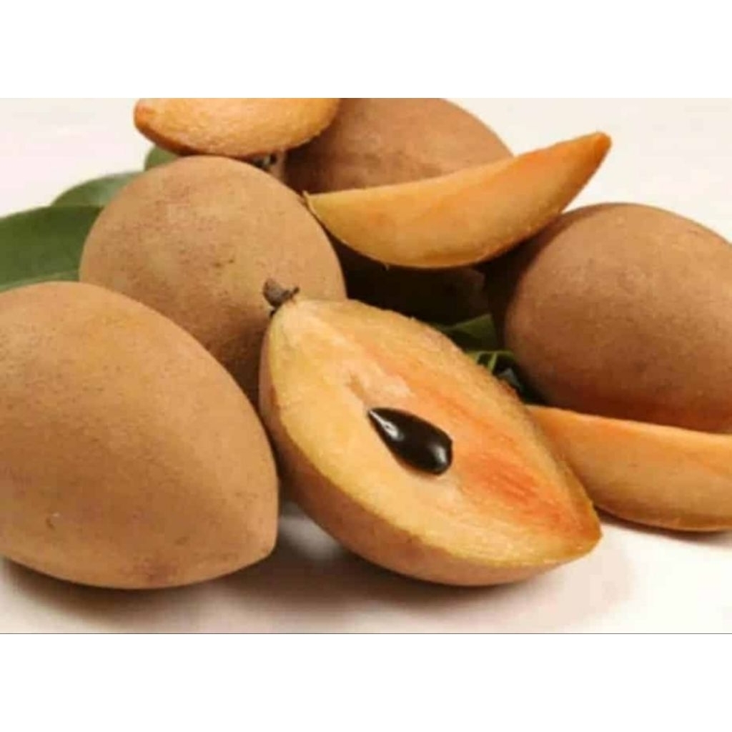 

Sawo Enak Lembut 500 gr