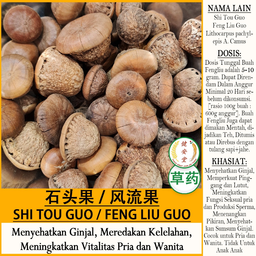 

SHI TOU GUO - FENG LIU GUO - Lithocarpus pachylepis A. Camus - Herbal TCM Per 100g