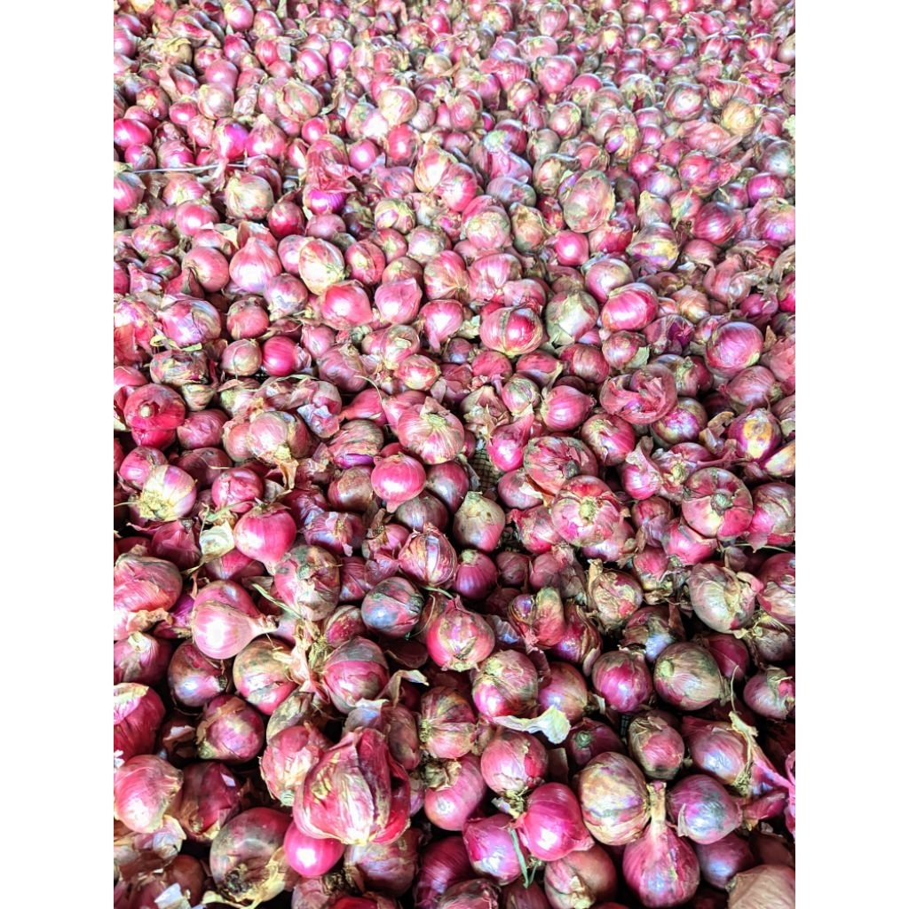 

BAWANG MERAH SUPER ASLI GARUT 1KG KERING
