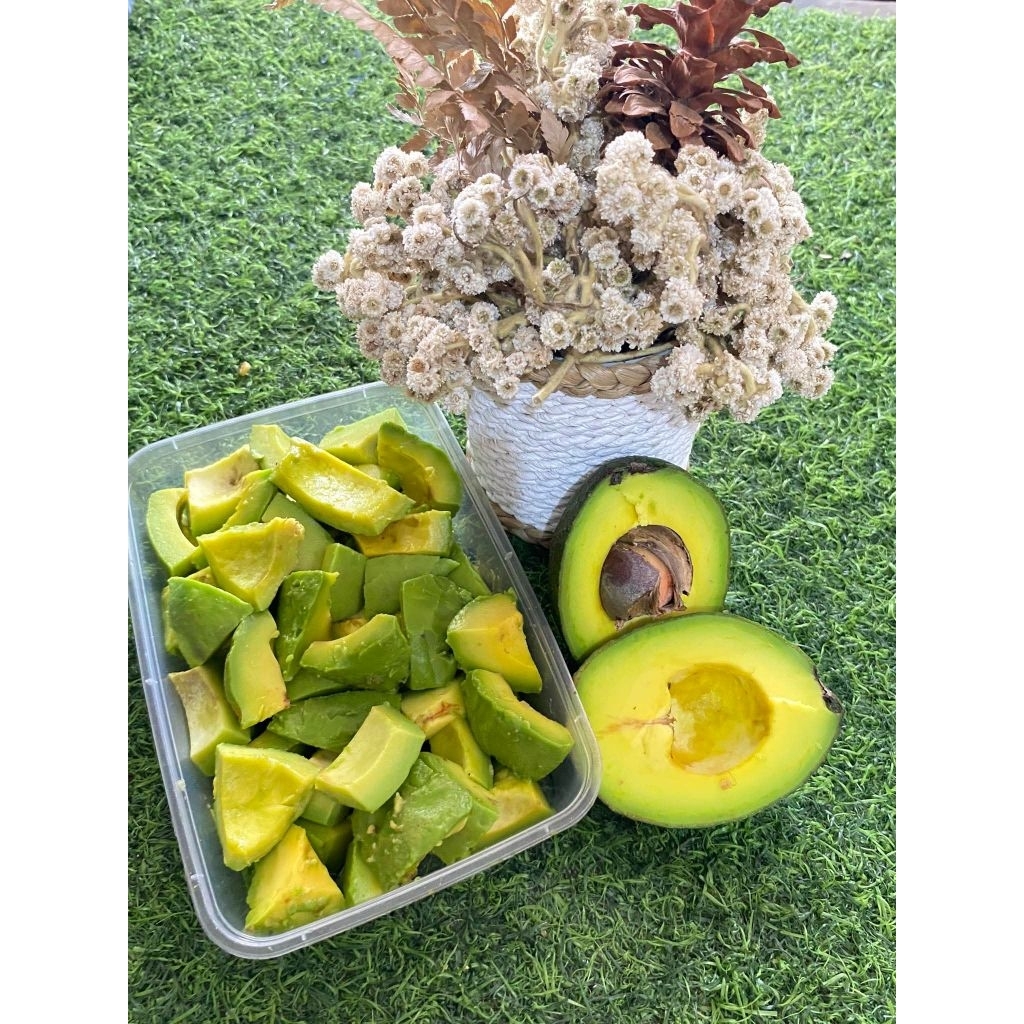 

Alpukat apocado mentega super pulen buah apocado mentega