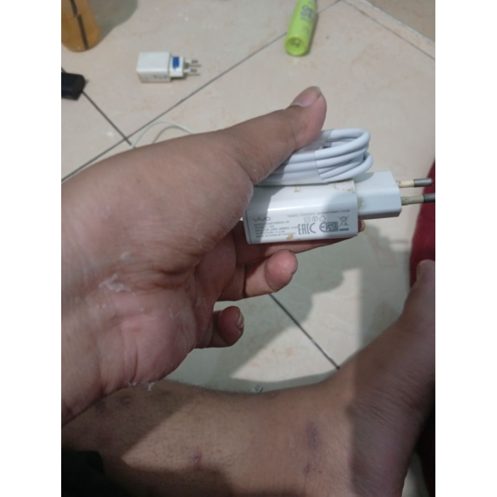 casan vivo original model lama