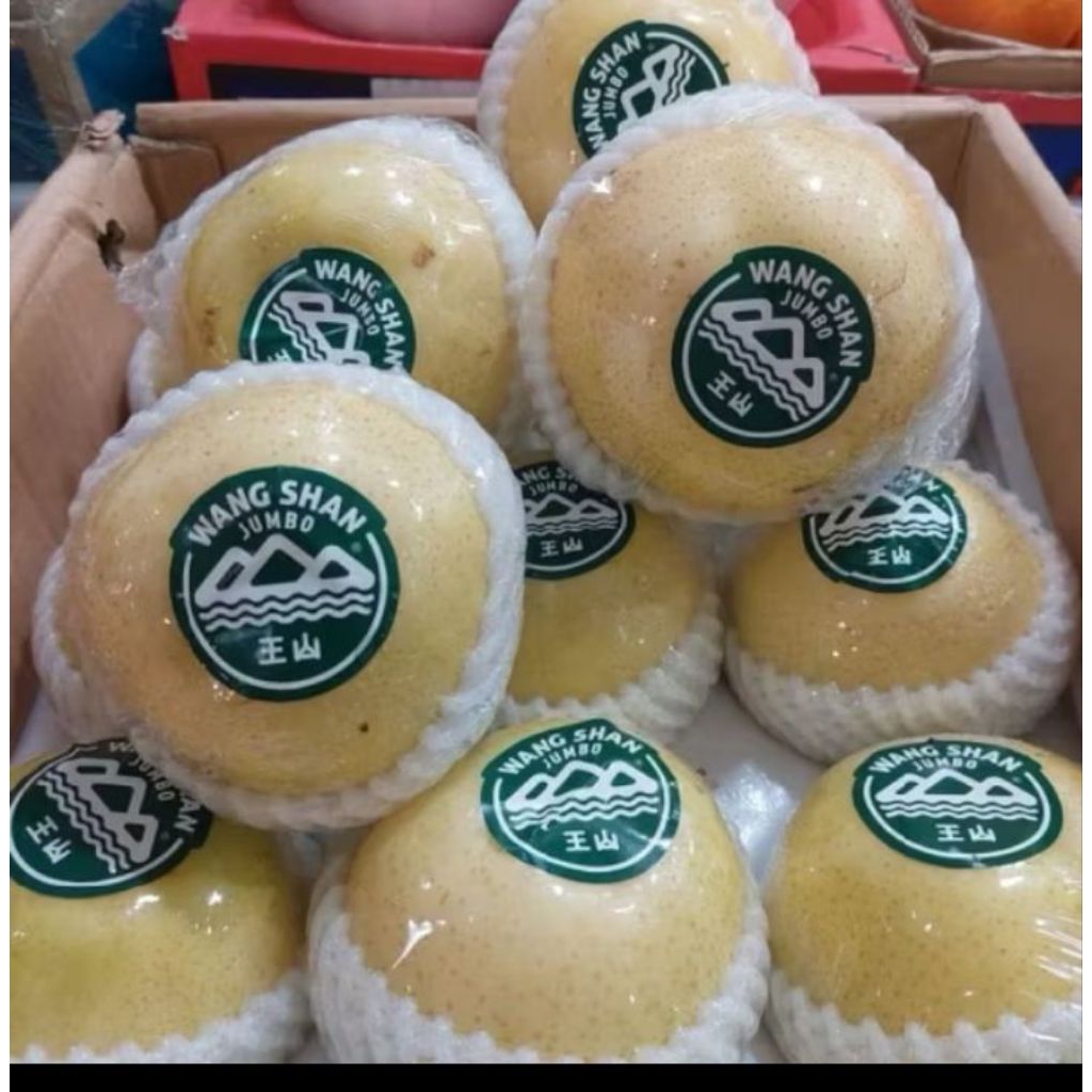 

Golden wang shan jumbo 1.2 kg/ buah pear Korea golden wang shan super fresh