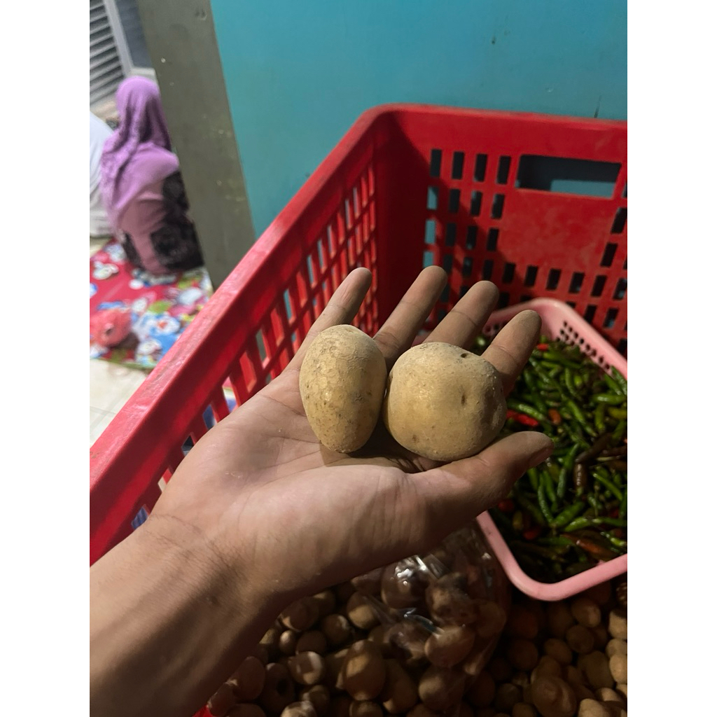 

kentang ukuran sedang kecil 1 kg