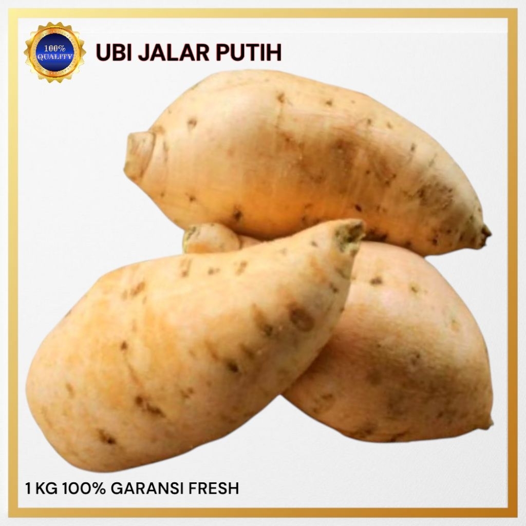 

Ubi Jalar Putih / Ubi Putih Mentah / Super Pilihan / 1KG